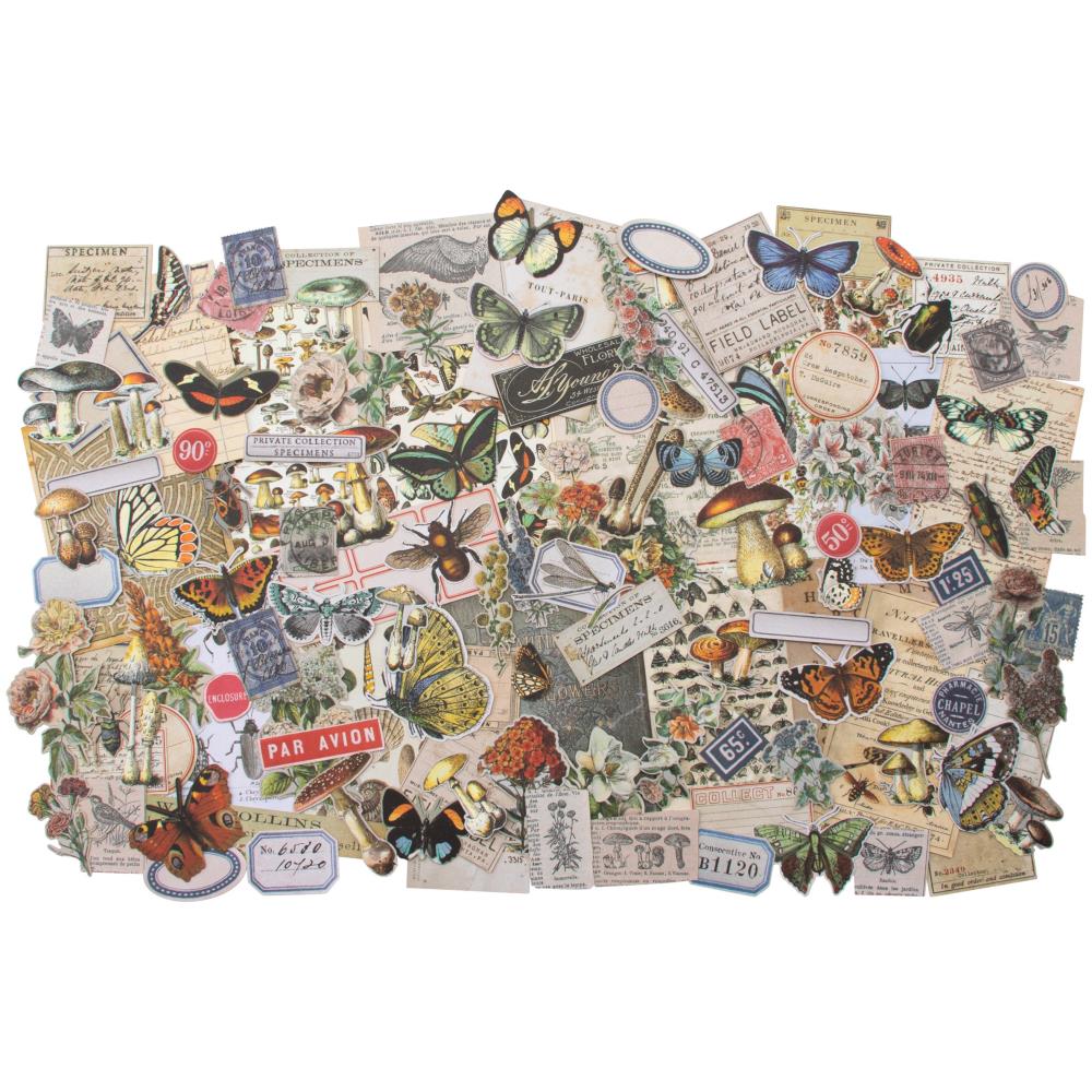 Tim Holtz Idea-ology Fieldnotes Ephemera