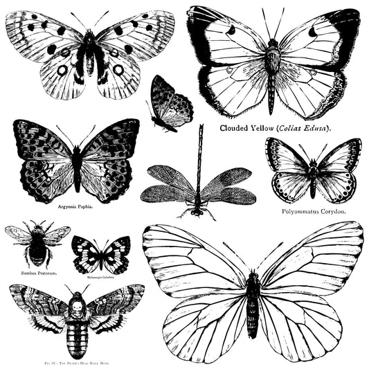 Iron Orchid  Décor Stamp Set - 12x12 - Butterflies