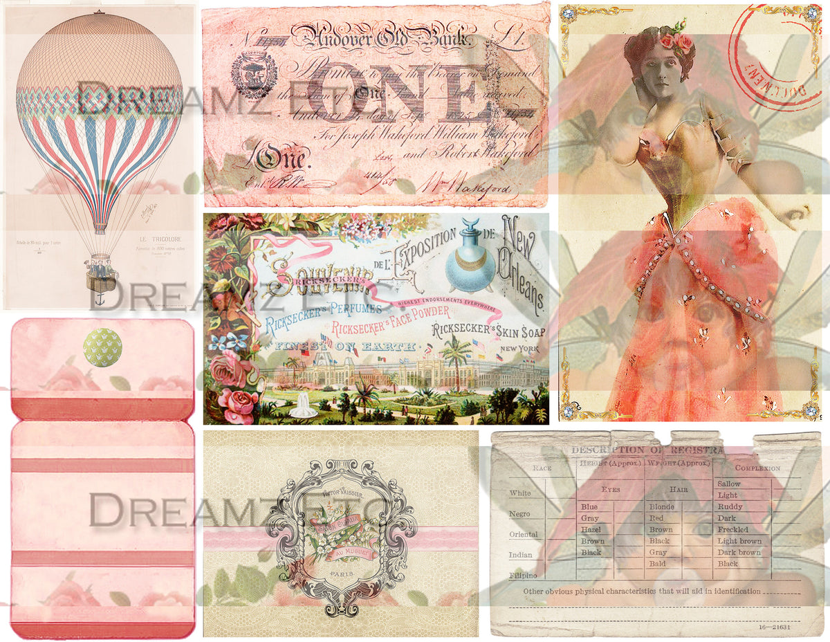 Documentary - Ephemera - Digital Paper Collection