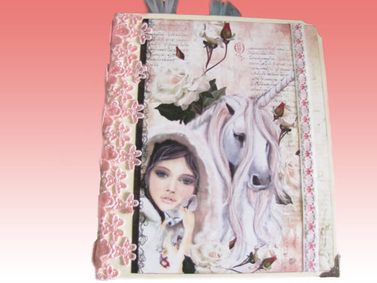 Fairy Journey Album - HUGE