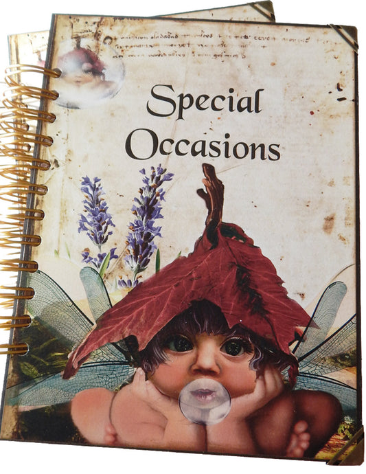 Fairyland Journal/Special Occasions Spiral Bound Album - Handmade Cards Included!