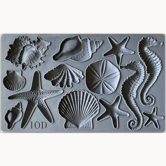 Seashells Decor Mould by IOD - Iron Orchid Designs