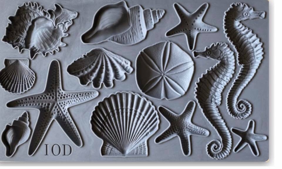 Sea Shells Decor Mould by IOD - Iron Orchid Designs