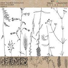 Iron Orchid  Décor Stamp Set - 12x12 - Sprigs