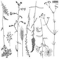 Iron Orchid  Décor Stamp Set - 12x12 - Sprigs