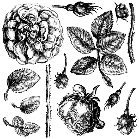 Iron Orchid  Décor Stamp Set - 12x12 - Lady of Shallot