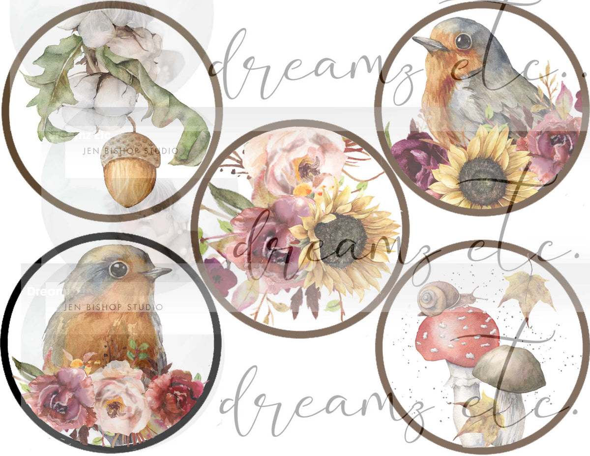 NEW! Pumpkin Spice Digital Collection