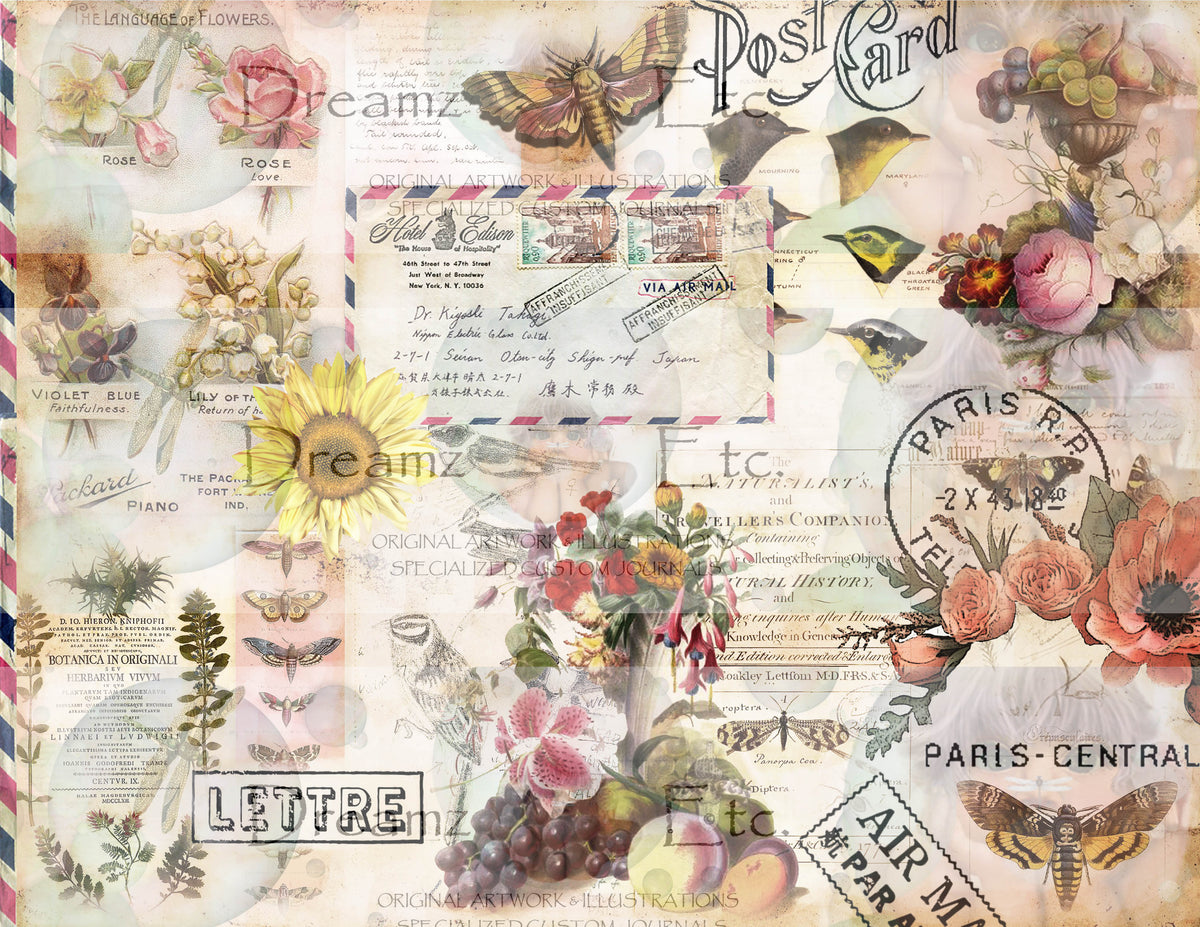 Springfield - PART2 - Journal Paper Pack - Digital - 10 SHEETS