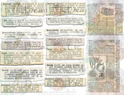 Springfield - PART2 - Journal Paper Pack - Digital - 10 SHEETS