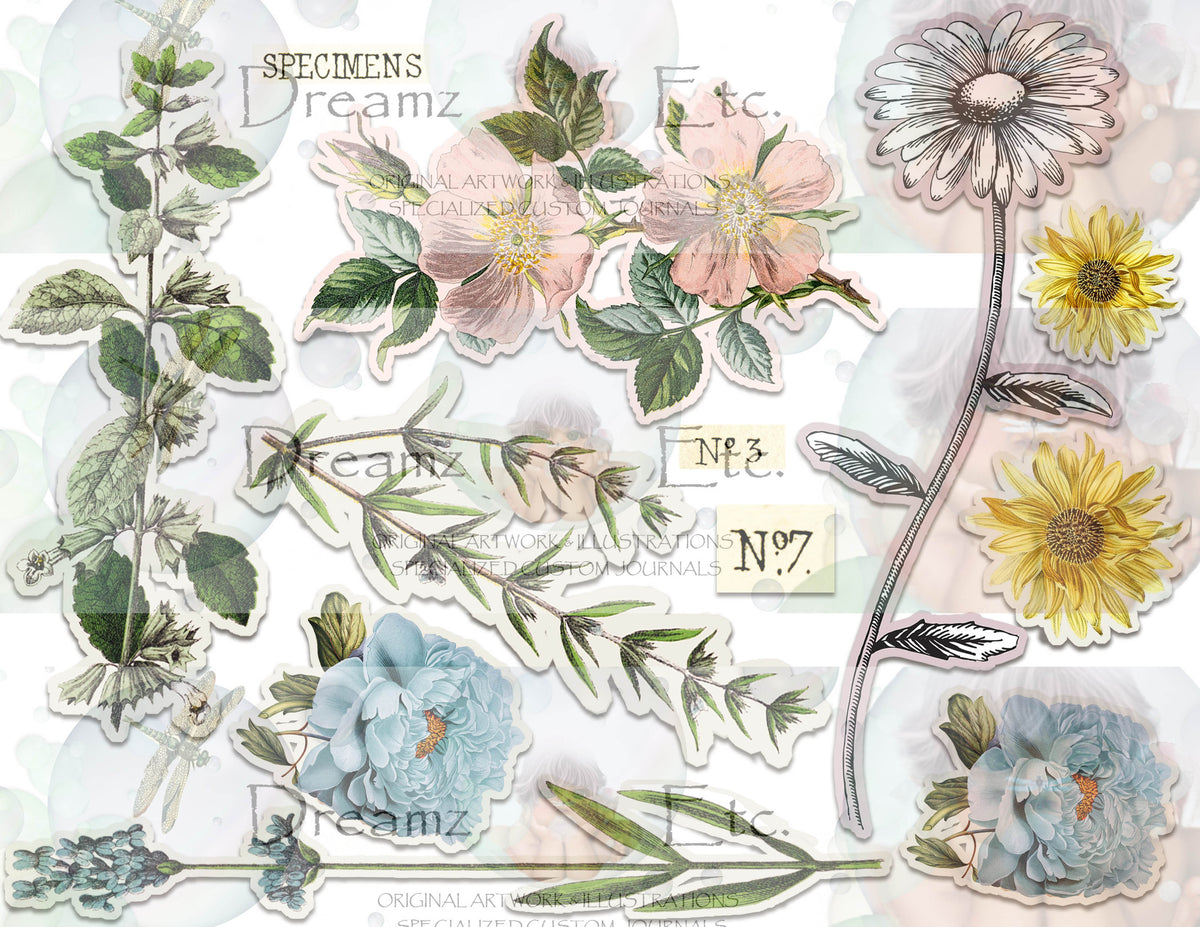 Springfield - PART2 - Journal Paper Pack - Digital - 10 SHEETS