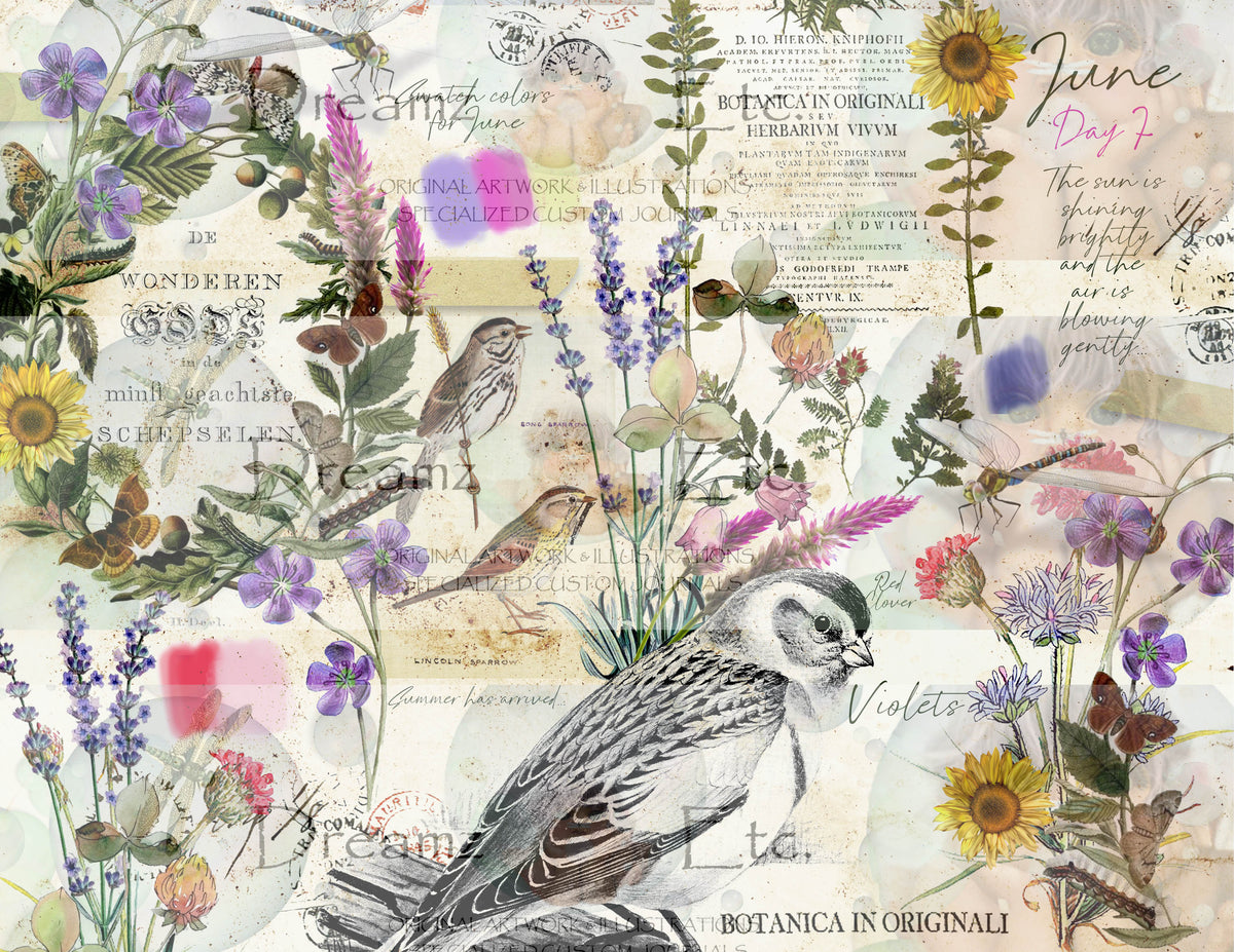 Springfield - PART2 - Journal Paper Pack - Digital - 10 SHEETS