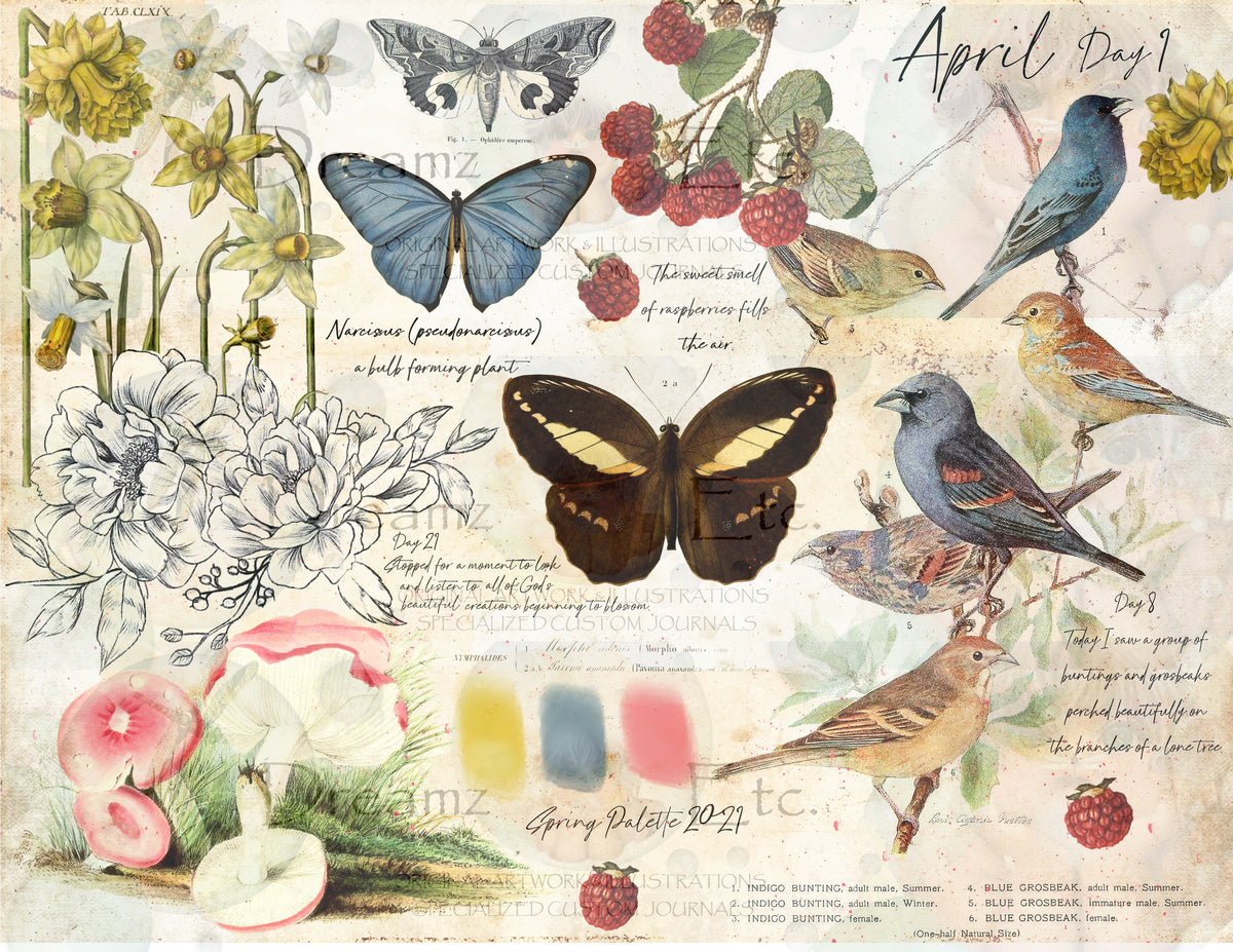Springfield Journal Paper Pack - Digital - 6 SHEETS