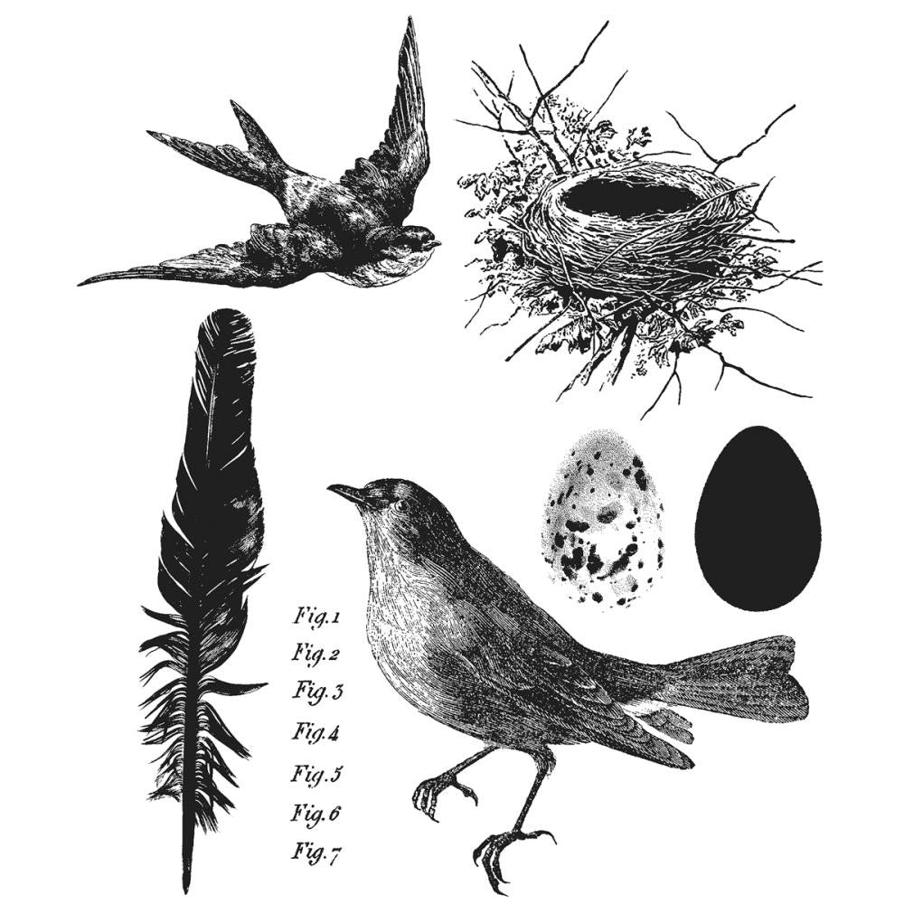 Tim Holtz Stamp Set - Bird Feather