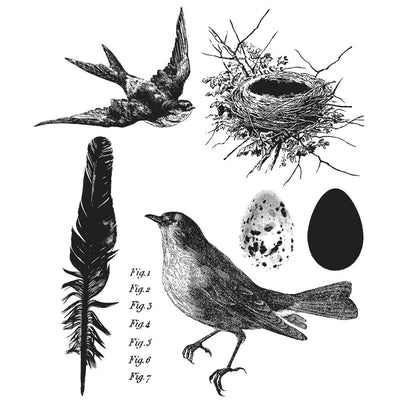 Tim Holtz Stamp Set - Bird Feather