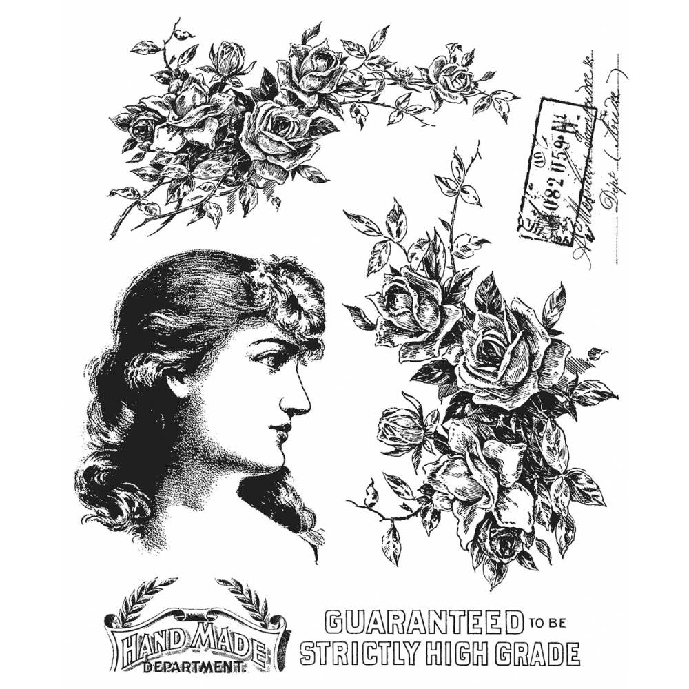 Lady Rose