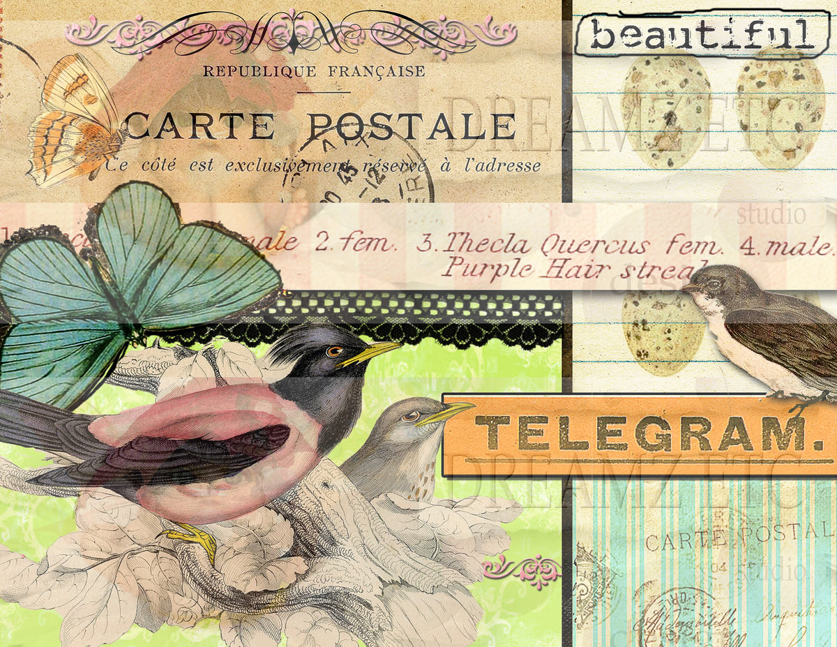 Winged Elements - Digital Journal Kit - Bundle Pack